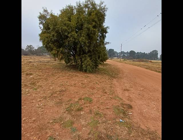 2,903M² VACANT LAND FOR SALE IN HENLEY ON KLIP
